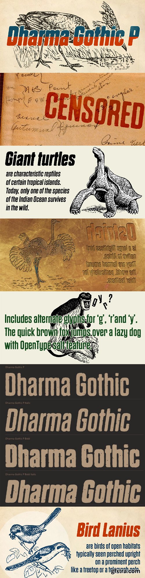 Dharma Gothic P Font Family 4xOTF $65