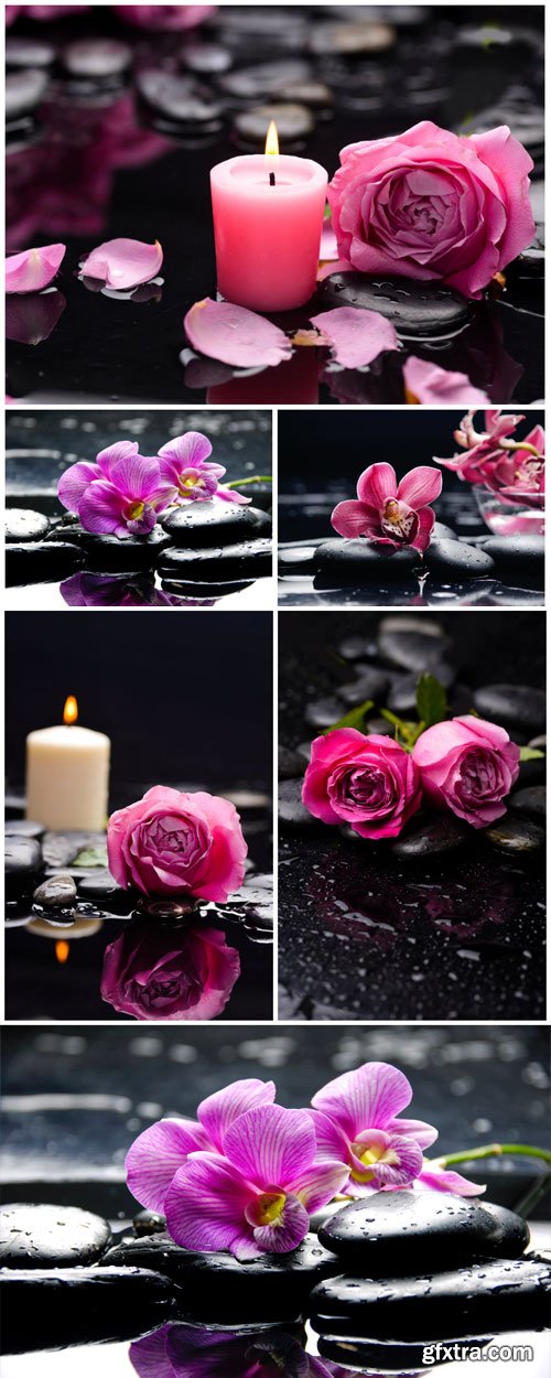 Roses, orchids and candles, spa backgrounds - Stock photo Roses, orchids and candles, spa backgrounds - Stock photo