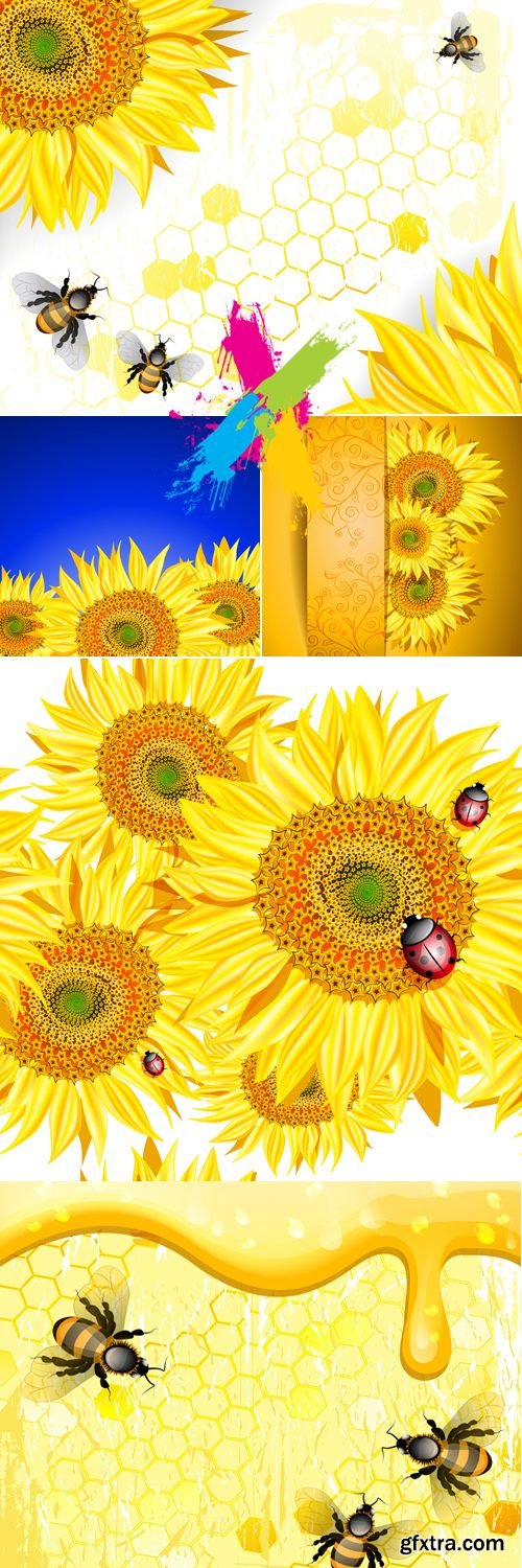 Sunflowers Backgrounds Vector