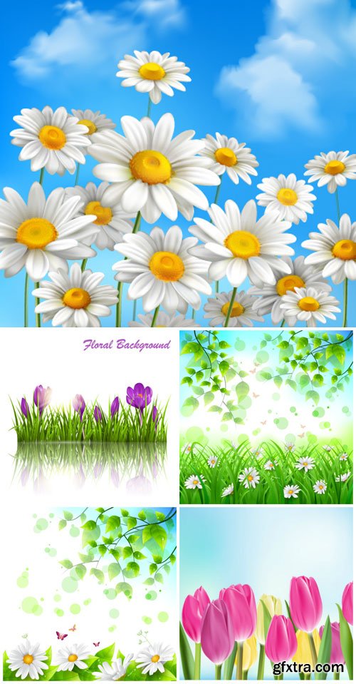 Flowers vector, daisies, crocuses, tulips Flowers vector, daisies, crocuses, tulips