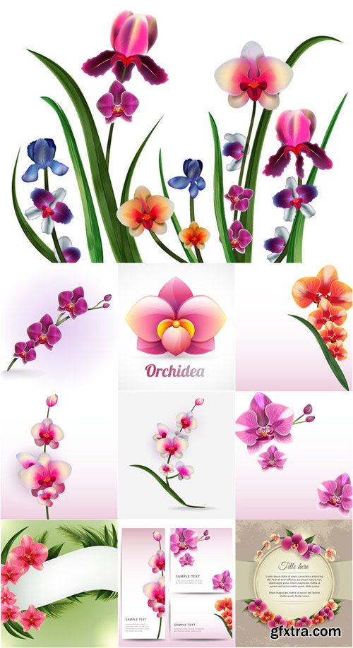 Realistic vector delicate orchids