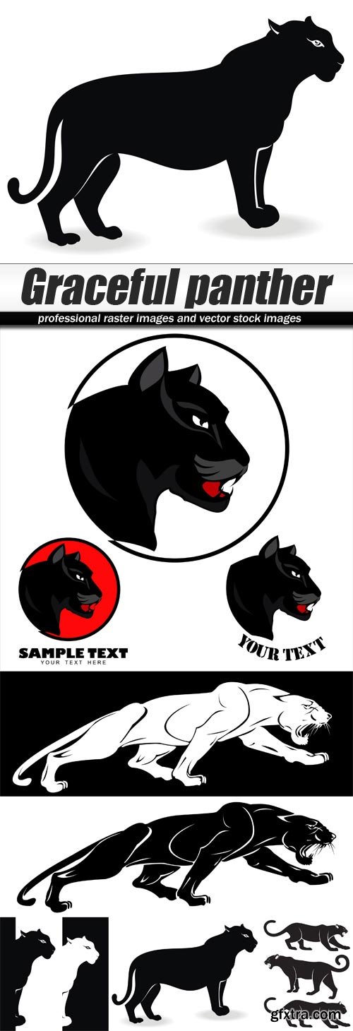 Graceful panther