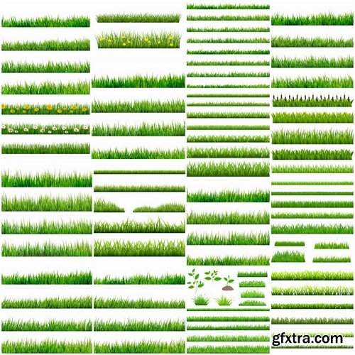 Big set of detailed grass in vector from stock - 25 Eps
