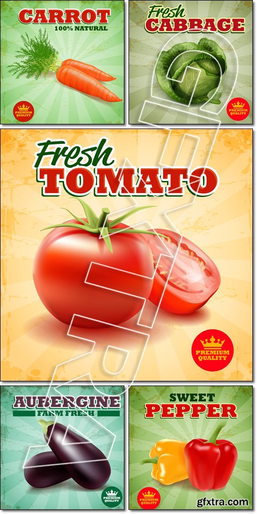 Farm fresh: aubergine, pepper, carbbage, tomato, carrot - Vector