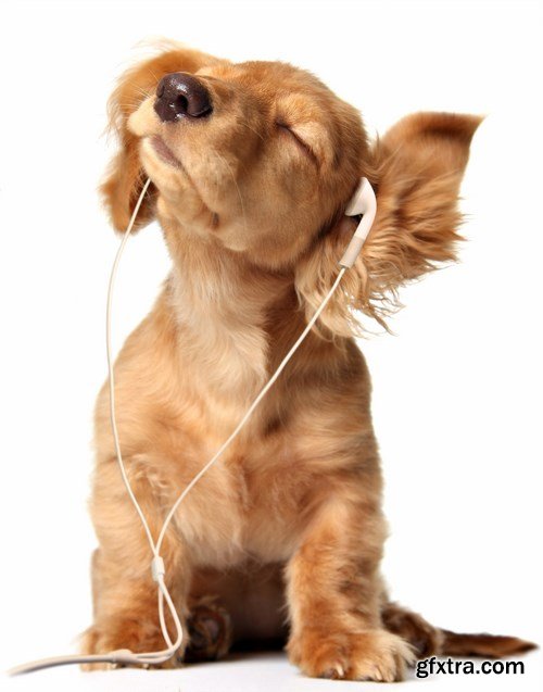 Music - 10 UHQ JPEG