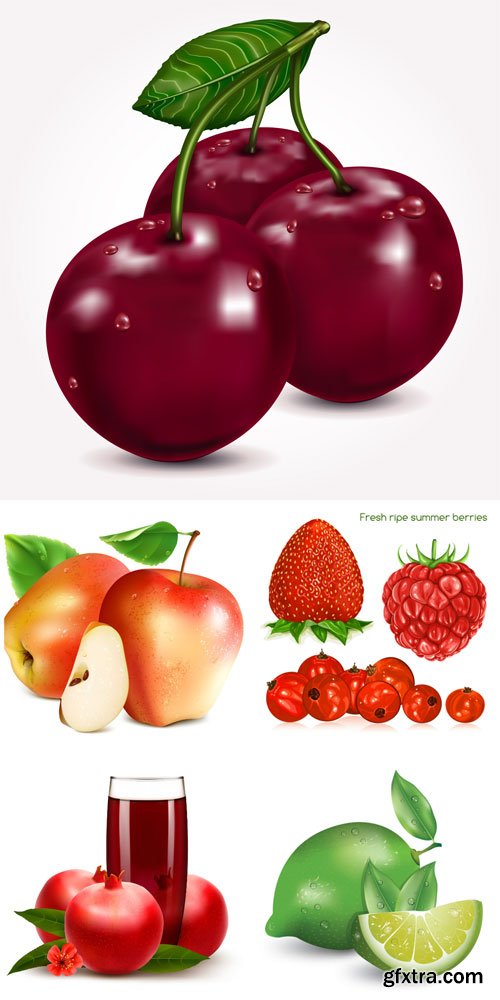 Vector fresh fruits and berries, cherry, apple, strawberry Vector fresh fruits and berries, cherry, apple, strawberry