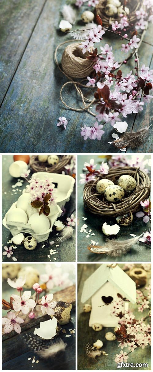 Easter collages with quail eggs and flowers Easter collages with quail eggs and flowers