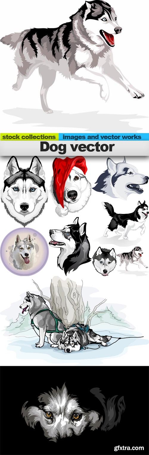 Dog vector, 10 x EPS