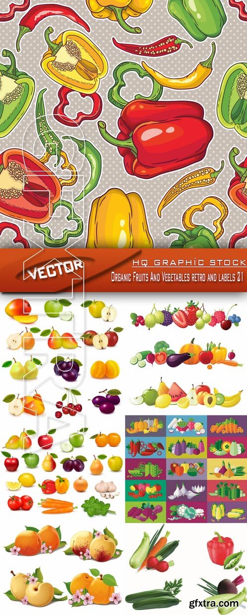 Stock Vector - Organic Fruits And Vegetables retro and labels 21