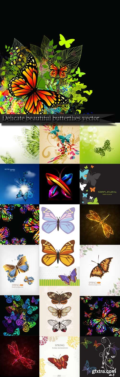 Delicate beautiful butterflies vector Delicate beautiful butterflies vector