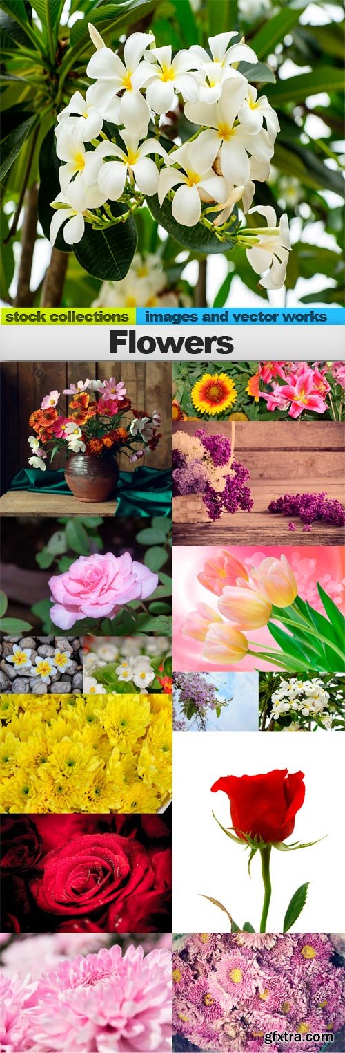 Flowers,15x UHQ JPEG