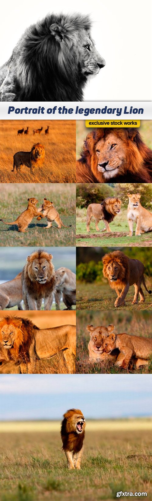 Portrait of the legendary Lion - 10 UHQ JPEG