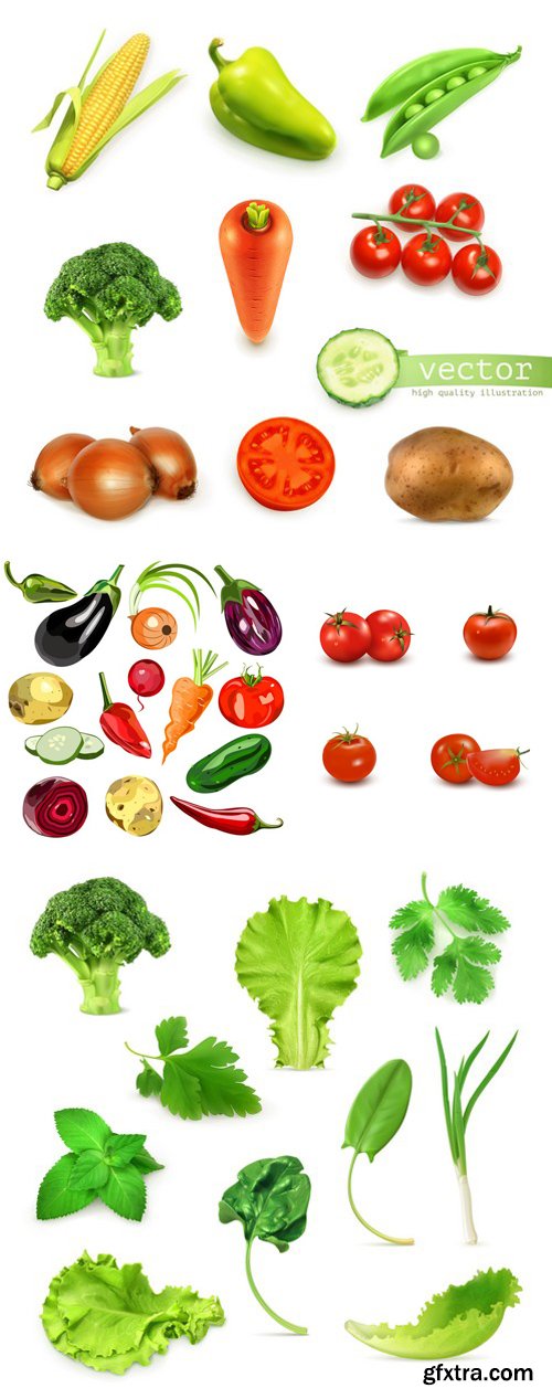 Stock Vectors - Vegetable Set