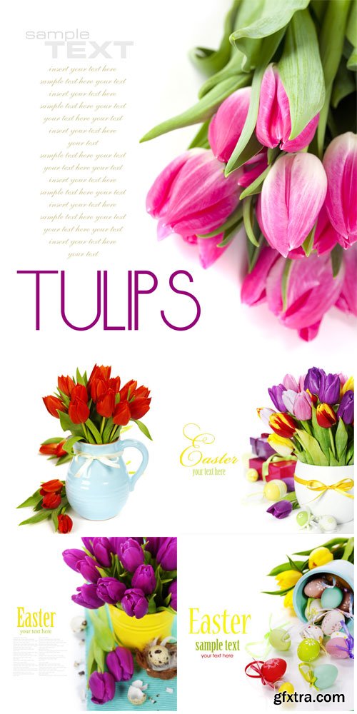 Tulips and Easter eggs - stock photos Tulips and Easter eggs - stock photos