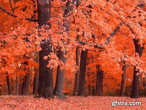 Seasons - 5 UHQ JPEG