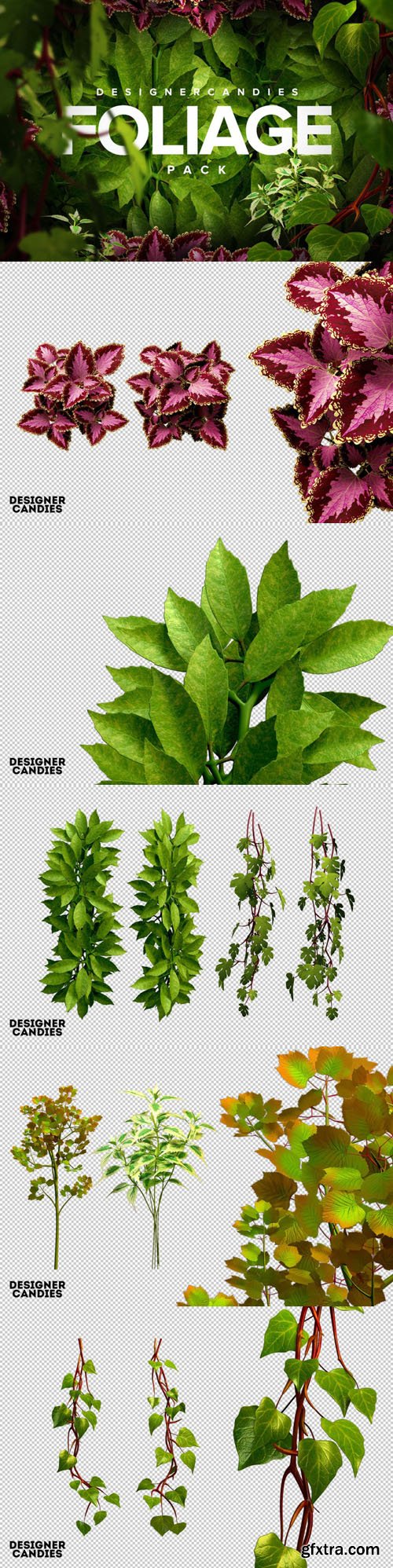 3D Foliage Pack - Transperent PNG 3D Foliage Pack - Transperent PNG