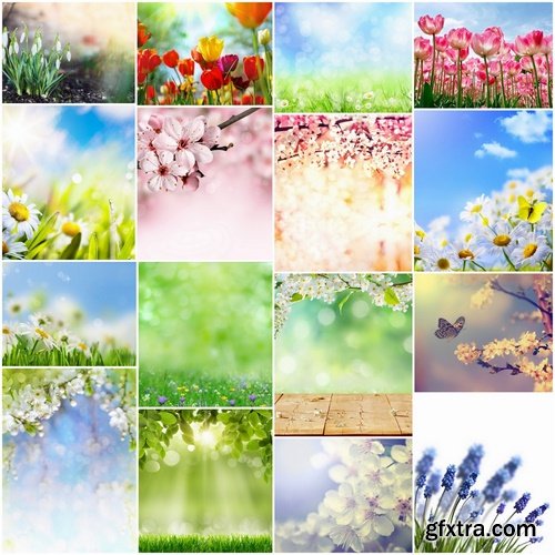Spring background with flowers and landscapes - 25 HQ Jpg