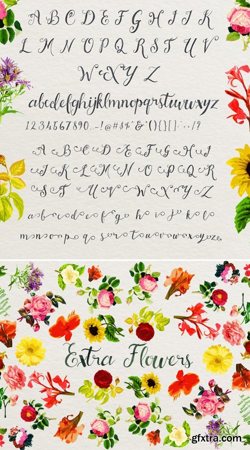 CM - Xellow Script & Extra Flower