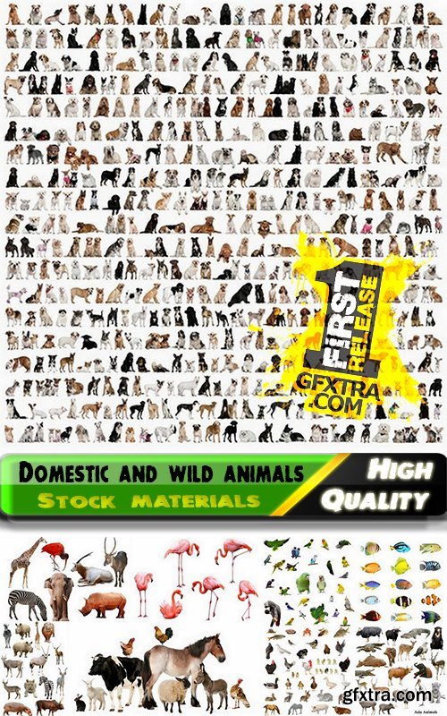 Set of domestic and wild animals isolated - 25 HQ Jpg