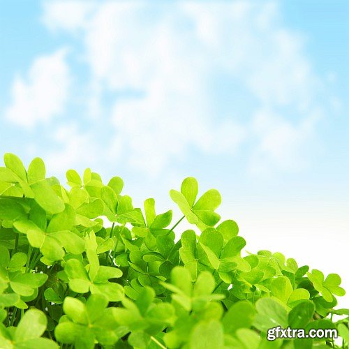 Saint Patrick's Day, 10 x UHQ JPEG