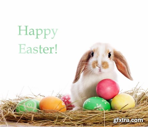 Holiday backgrounds with eggs and rabbits for Easter - 25 HQ Jpg
