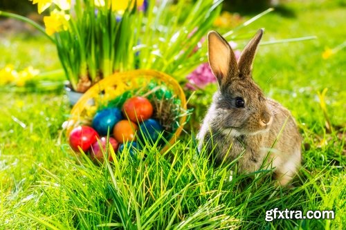 Holiday backgrounds with eggs and rabbits for Easter - 25 HQ Jpg