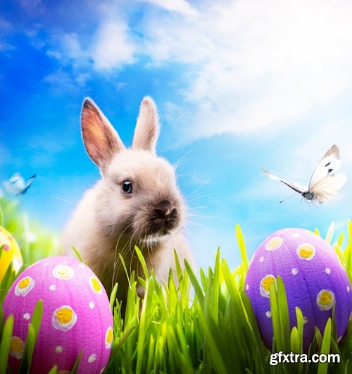 Holiday backgrounds with eggs and rabbits for Easter - 25 HQ Jpg