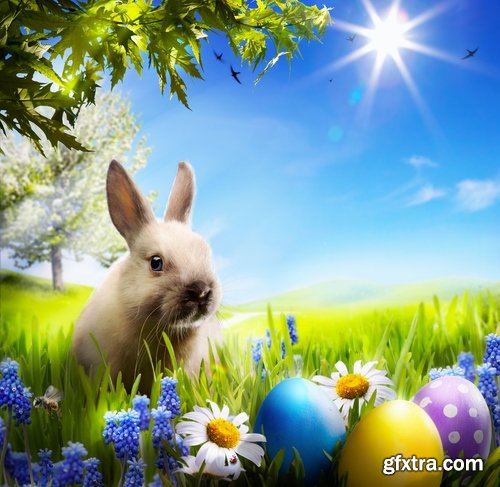 Holiday backgrounds with eggs and rabbits for Easter - 25 HQ Jpg