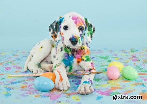 Holiday backgrounds with eggs and rabbits for Easter - 25 HQ Jpg