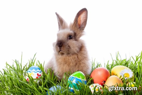 Holiday backgrounds with eggs and rabbits for Easter - 25 HQ Jpg