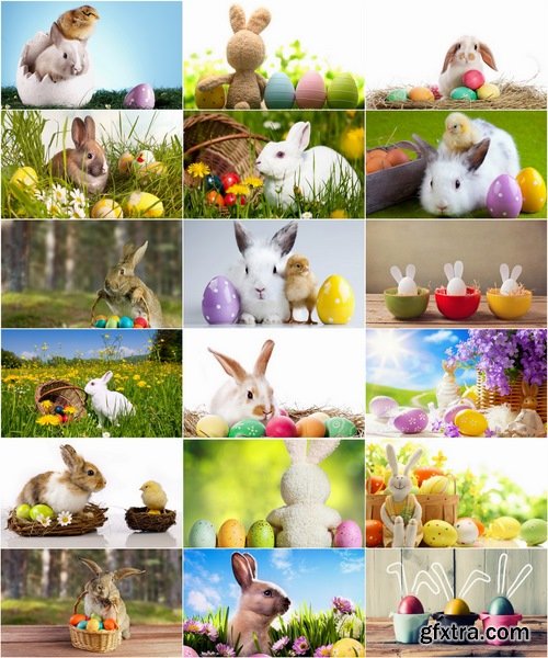 Collection of different easter bunny eggs 25 HQ Jpeg