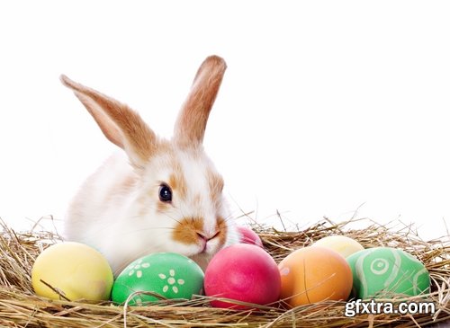 Collection of different easter bunny eggs 25 HQ Jpeg