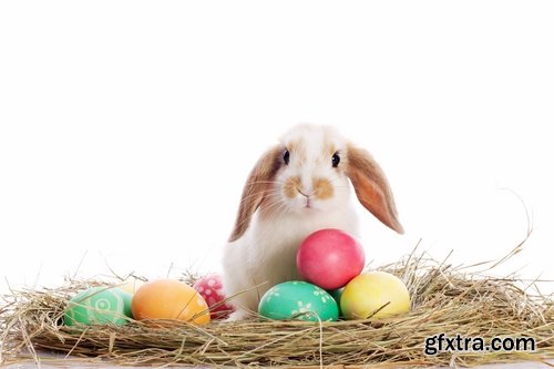Collection of different easter bunny eggs 25 HQ Jpeg