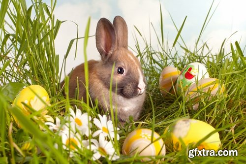 Collection of different easter bunny eggs 25 HQ Jpeg