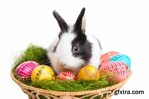 Collection of different easter bunny eggs 25 HQ Jpeg