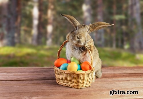Collection of different easter bunny eggs 25 HQ Jpeg