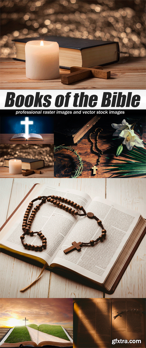 Books of the Bible