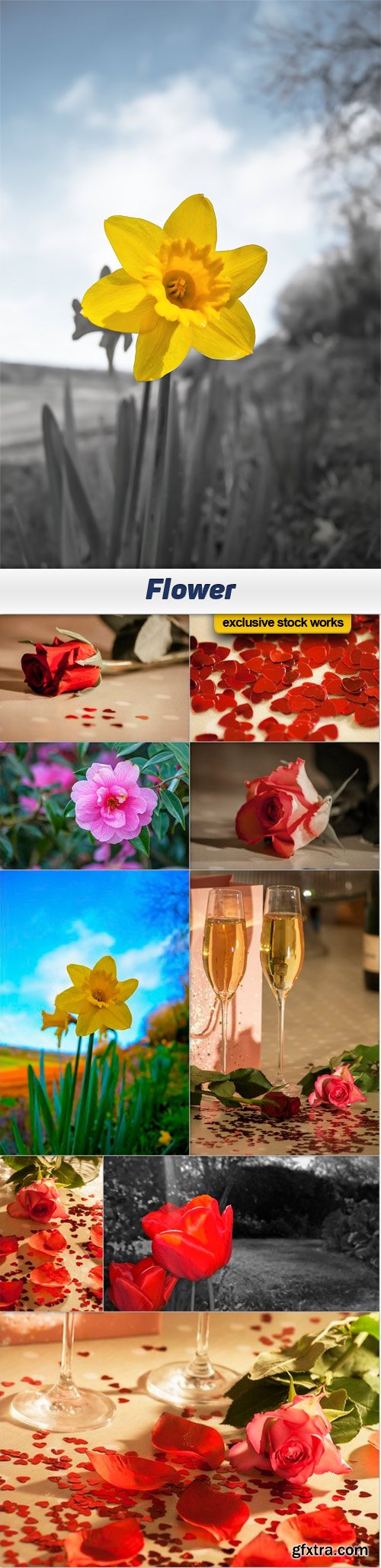 Flower - 10 UHQ JPEG