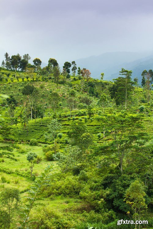 Sri Lanka - 10 UHQ JPEG