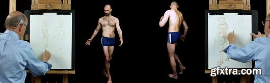 Drawing the Figure: Proportions