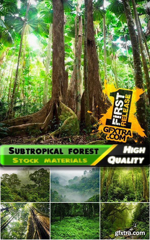 Subtropical forest and rainforest - 25 HQ Jpg
