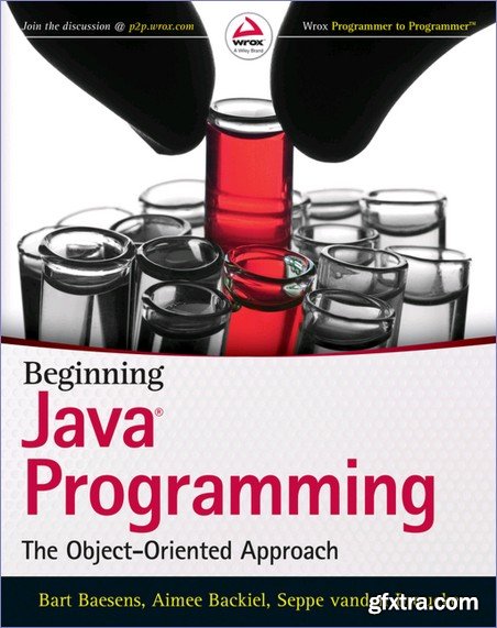 Beginning Java Programming: The Object-Oriented Approach
