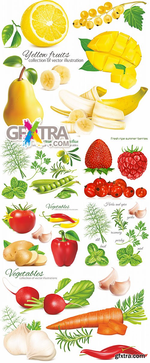 Ripe fresh vegetables fruits and berries