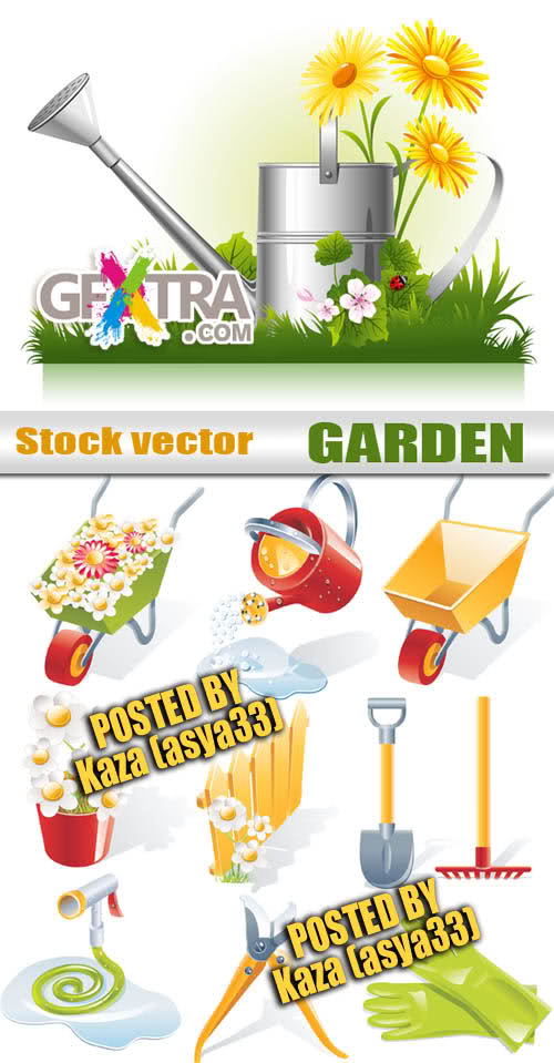 Garden vector