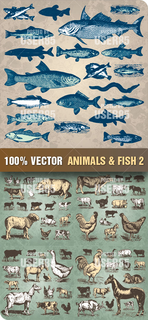 Stock Vector - Animals & Fish 2 Stock Vector - Animals & Fish 2