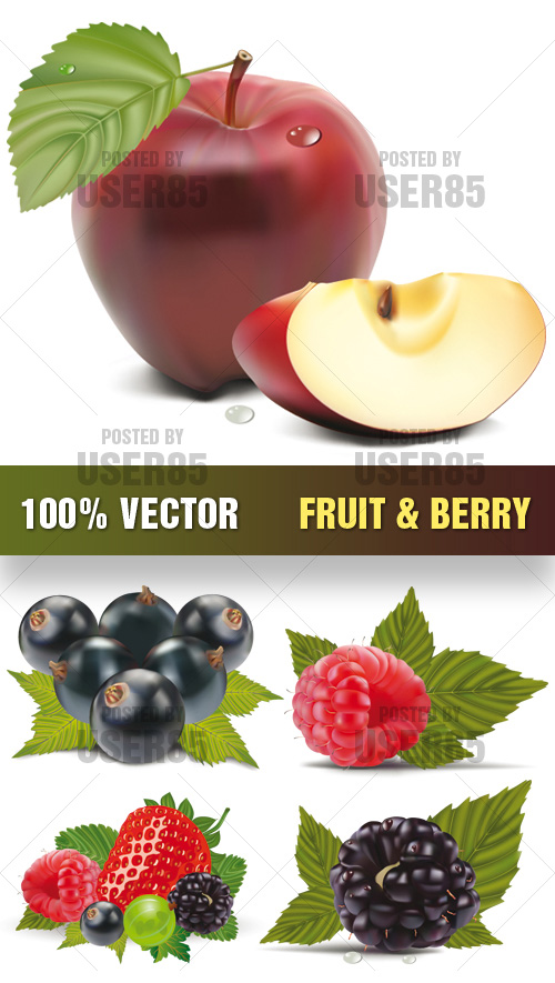 Stock Vector - Fruit & Berry Stock Vector - Fruit & Berry