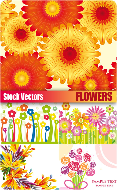 Stock Vectors - Flowers
