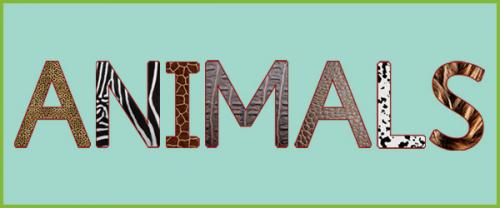 Animals texture collection