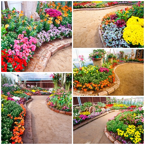 Garden road with flowers - stock photo Garden road with flowers - stock photo