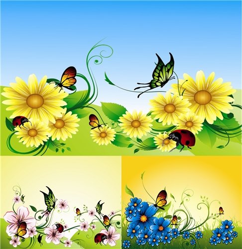Butterflies on Flowers